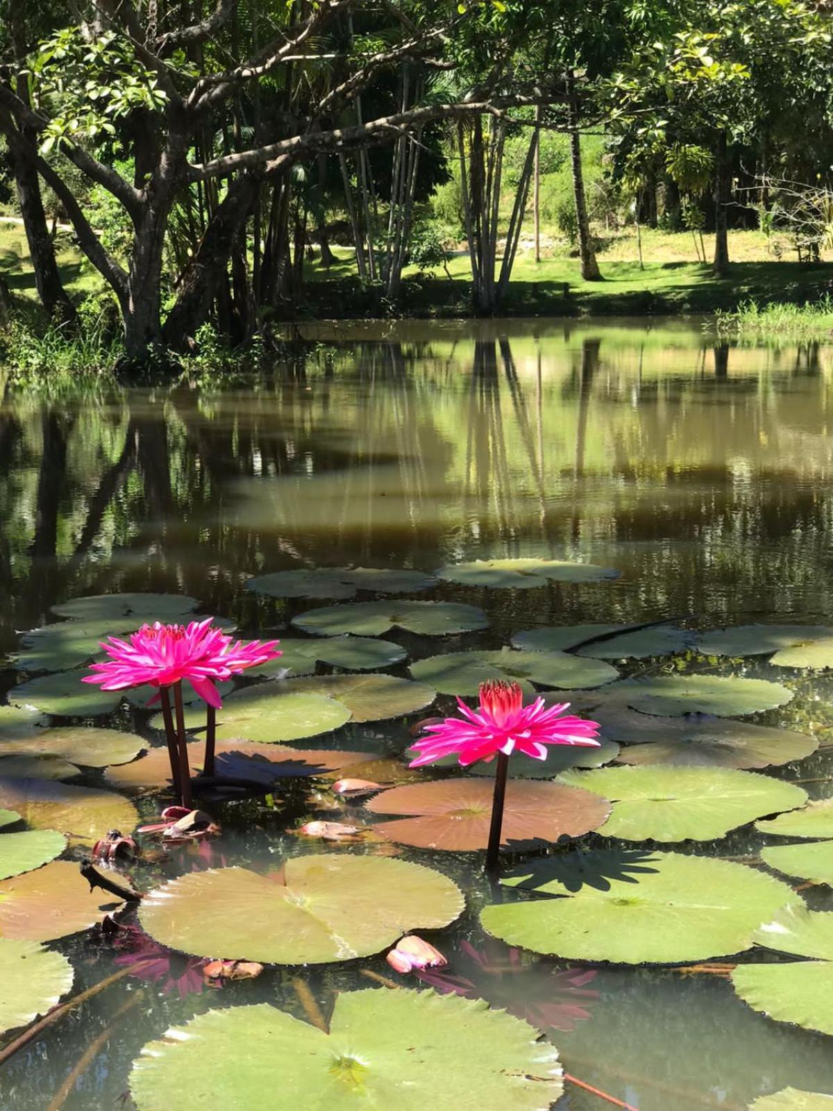 Canto De Roca Turismo E Lazer Mimoso do Sul Εξωτερικό φωτογραφία
