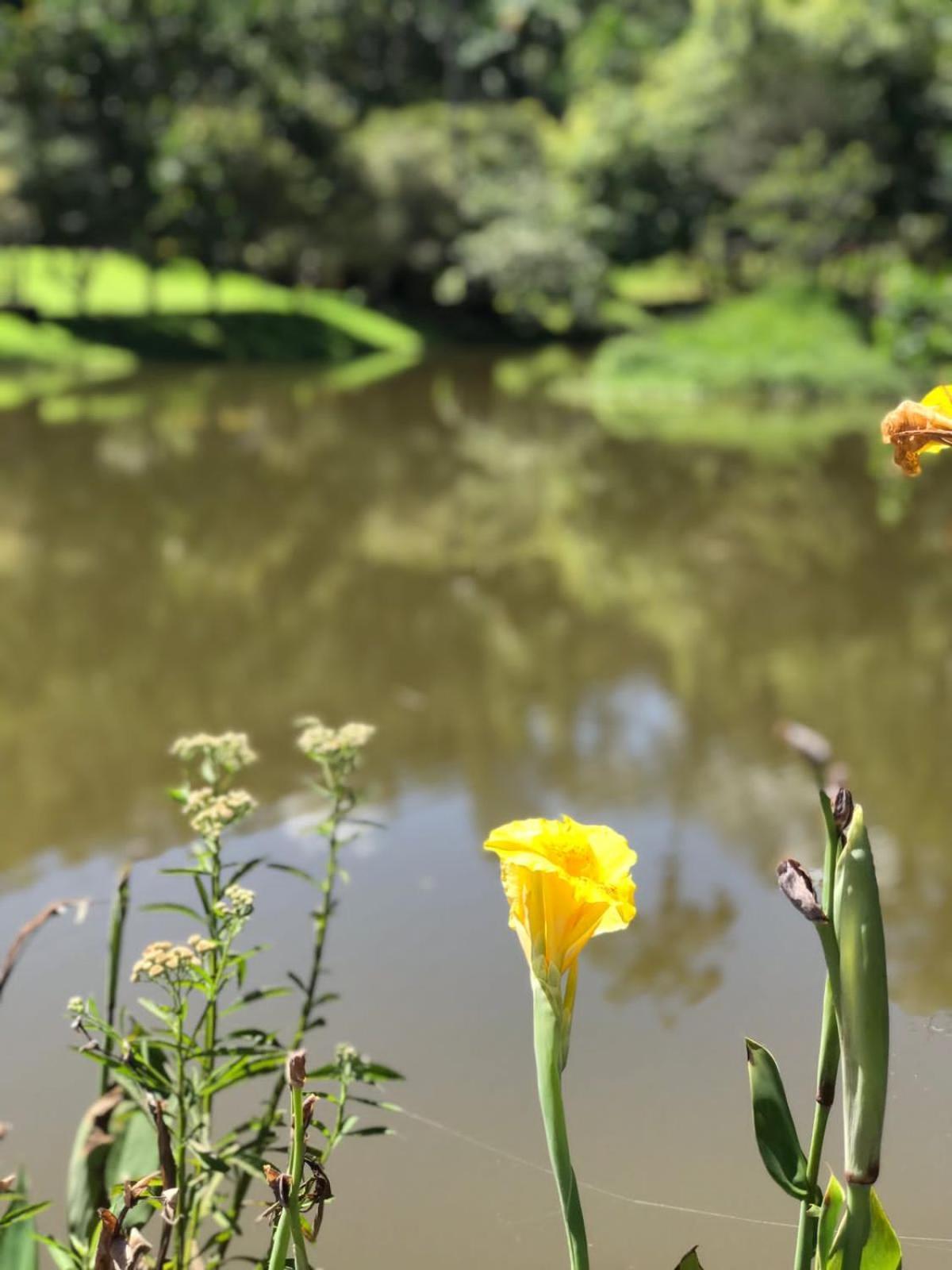 Canto De Roca Turismo E Lazer Mimoso do Sul Εξωτερικό φωτογραφία